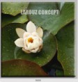 /album/photo-gallery-canvas-uri/decoratiuni-de-perete-canvas-lc-0009-jpg/
